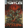 Teenage Mutant Ninja Turtles Vol. 6 Issue 100