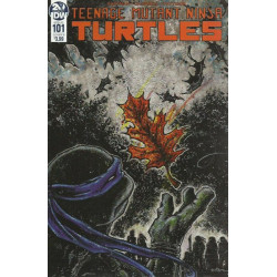 Teenage Mutant Ninja Turtles Vol. 6 Issue 101b Variant