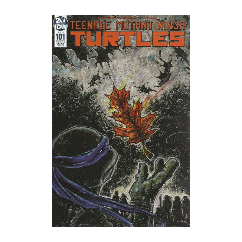 Teenage Mutant Ninja Turtles Vol. 6 Issue 101b Variant