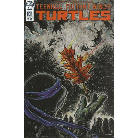 Teenage Mutant Ninja Turtles Vol. 6 Issue 101b Variant
