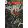 Teenage Mutant Ninja Turtles Vol. 6 Issue 101b Variant
