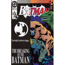 Batman Vol. 1 Issue 497