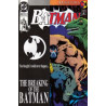 Batman Vol. 1 Issue 497