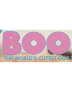 Boo: The World's Cutest Dog