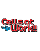 Cells At Work
