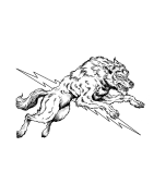 Silverwolf Comics