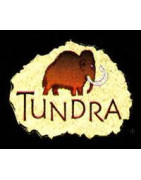 Tundra Publishing
