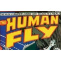 Human Fly