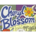Cheryl Blossum