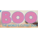Boo: The World's Cutest Dog