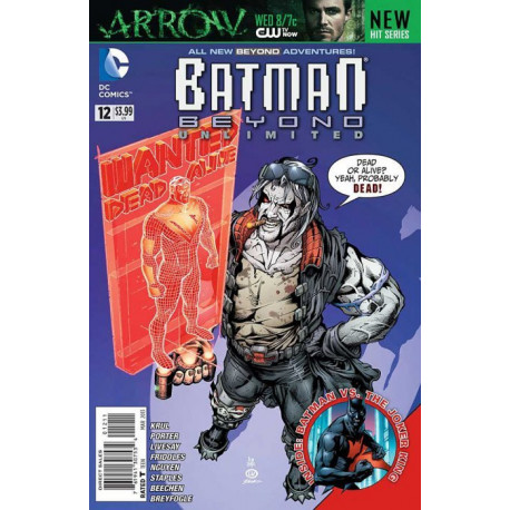 Batman Beyond Unlimited Issue 12