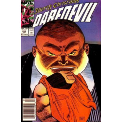 Daredevil Vol. 1 Issue 253