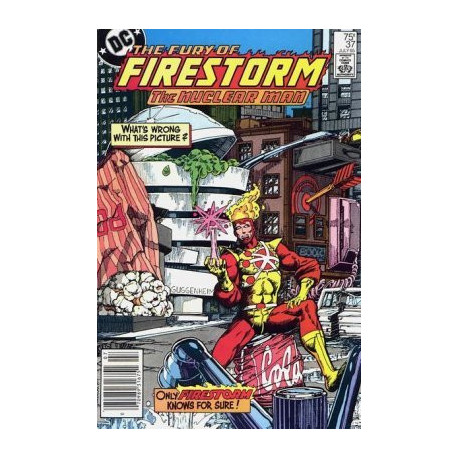 Fury of Firestorm Issue 37