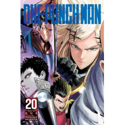 One Punch Man Issue 20
