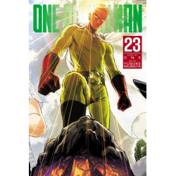 One Punch Man Issue 23