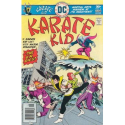Karate Kid  Issue 2