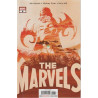 The Marvels Issue 6