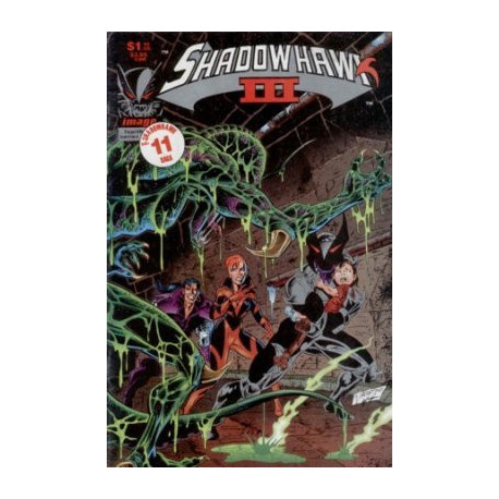 Shadowhawk III  Issue 4