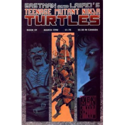 Teenage Mutant Ninja Turtles Vol. 1 Issue 29