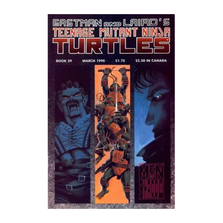Teenage Mutant Ninja Turtles Vol. 1 Issue 29