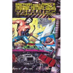 Teenage Mutant Ninja Turtles Vol. 1 Issue 30