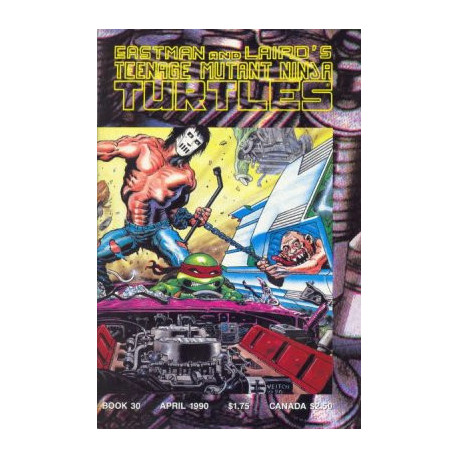 Teenage Mutant Ninja Turtles Vol. 1 Issue 30