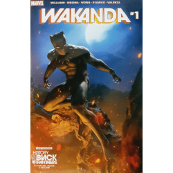 Wakanda Issue 1w Variant