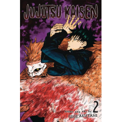 Jujutsu Kaisen Issue 2
