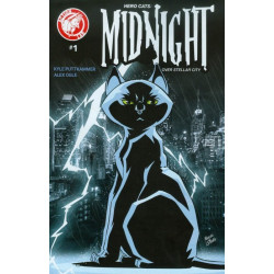 Hero Cats: Midnight Over Stellar City Issue 1b Variant