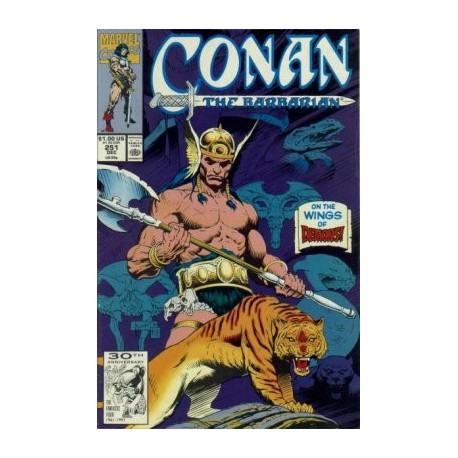 Conan the Barbarian Vol. 1 Issue 251