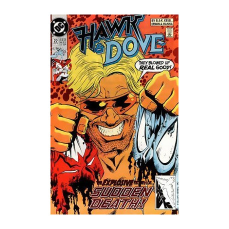 Hawk & Dove Vol. 3 Issue 22