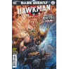Hawkman Found Issue 1b Variant