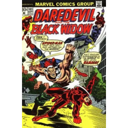 Daredevil Vol. 1 Issue 103