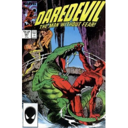 Daredevil Vol. 1 Issue 247