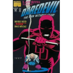 Daredevil Vol. 1 Issue 300