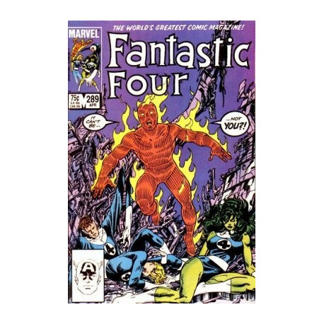 Fantastic Four Vol. 1 Issue 289