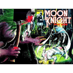 Moon Knight: Special Edition Issue 2