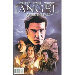 Angel: After the Fall  Issue 14b Variant