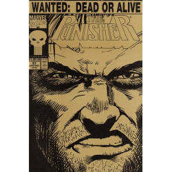 Punisher Vol. 2 Issue 057